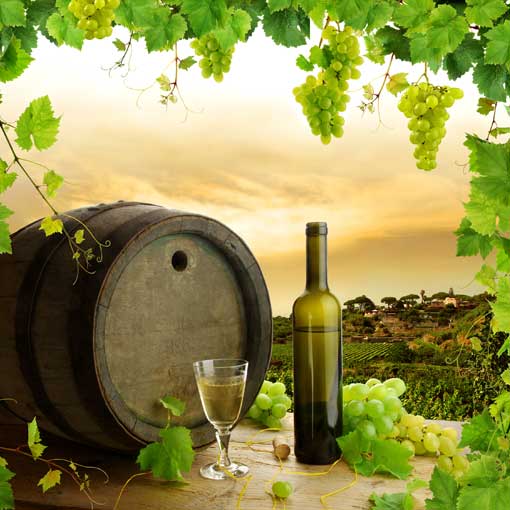 Feria del Queso y el vino en Tequisquiapan