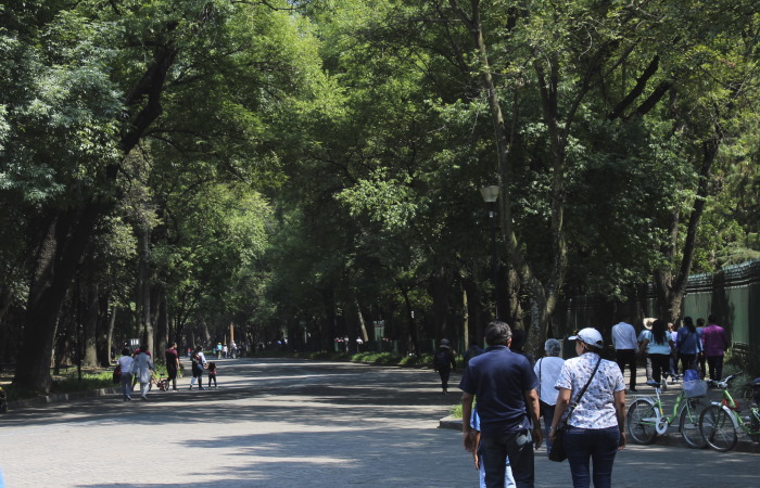 Gustavo Torres (NotiPress)