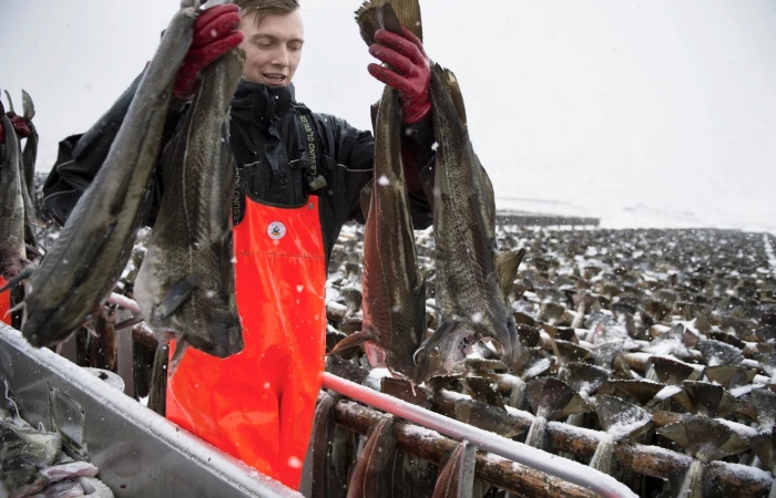 Cortesía Sherlock Communications