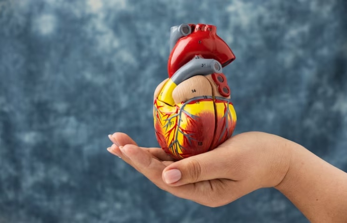 Tumores cardíacos: retos en su diagnóstico y tratamiento, según experto