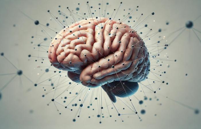Hallan alteraciones celulares clave en el cerebro de personas con síndrome de Tourett