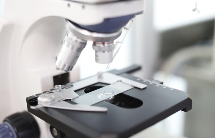 Científicos logran antiveneno humano eficaz para 19 especies de serpientes
