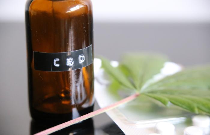 El CBD se consolida como aliado para el bienestar integral de las madres trabajadoras