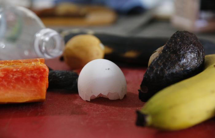Foro internacional en CDMX impulsa acciones contra el desperdicio de alimentos