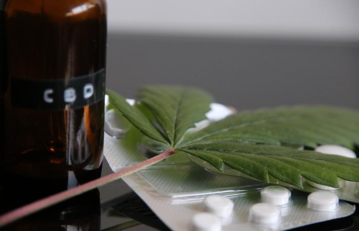 Precisión en la dosis, clave para tratamientos con cannabis medicinal
