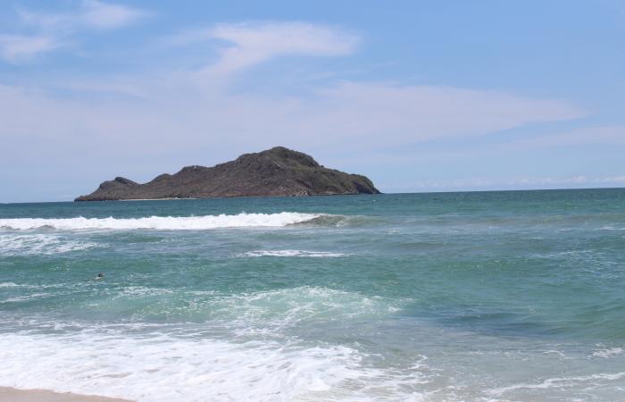 AES México refuerza su compromiso ambiental con limpieza masiva en Playa Progreso