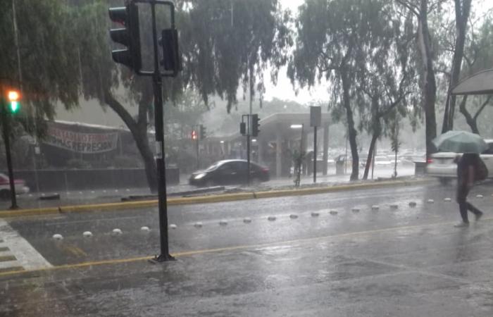 Patricia Manero (NotiPress)