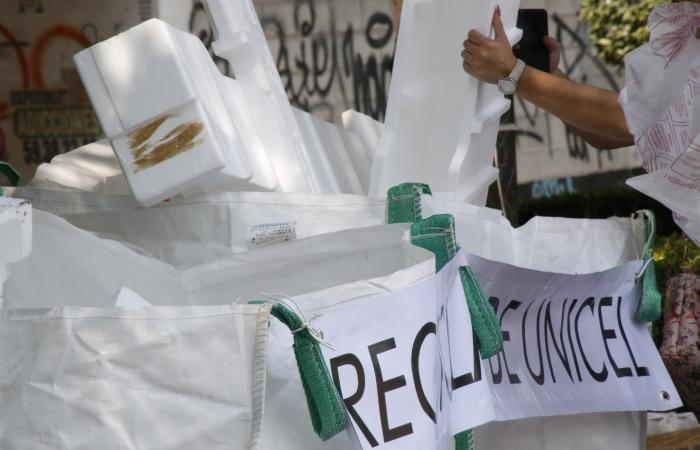 Sergio F Cara (NotiPress)