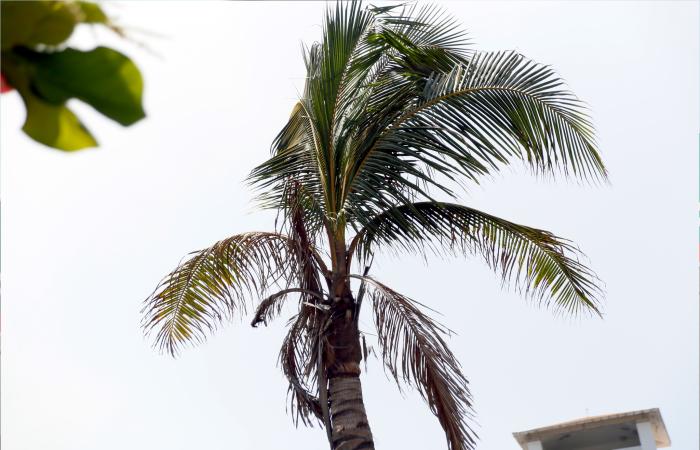 Degradación ambiental cuesta a México 1.38 billones de pesos al año