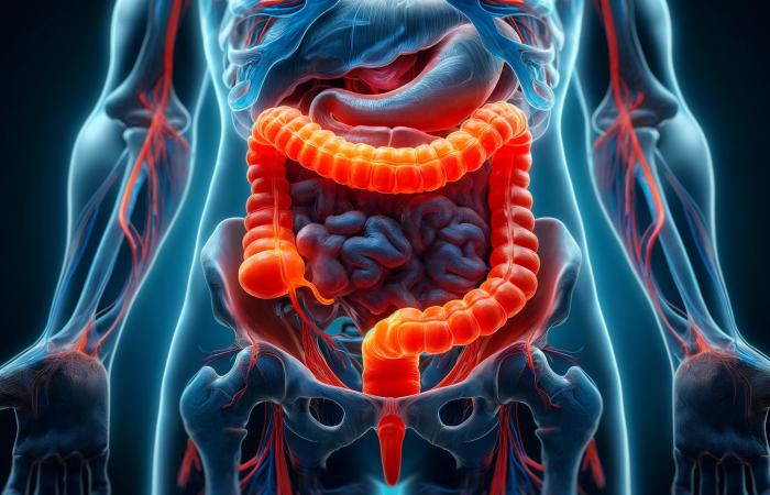 Sergio F Cara (NotiPress/Composici&oacute;n)