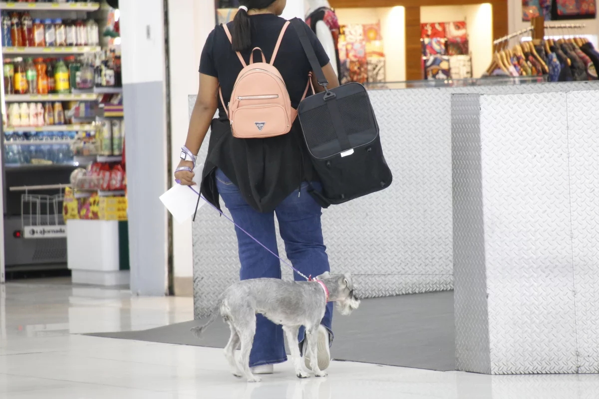 Pet friendly, el nuevo estándar del mercado inmobiliario en México