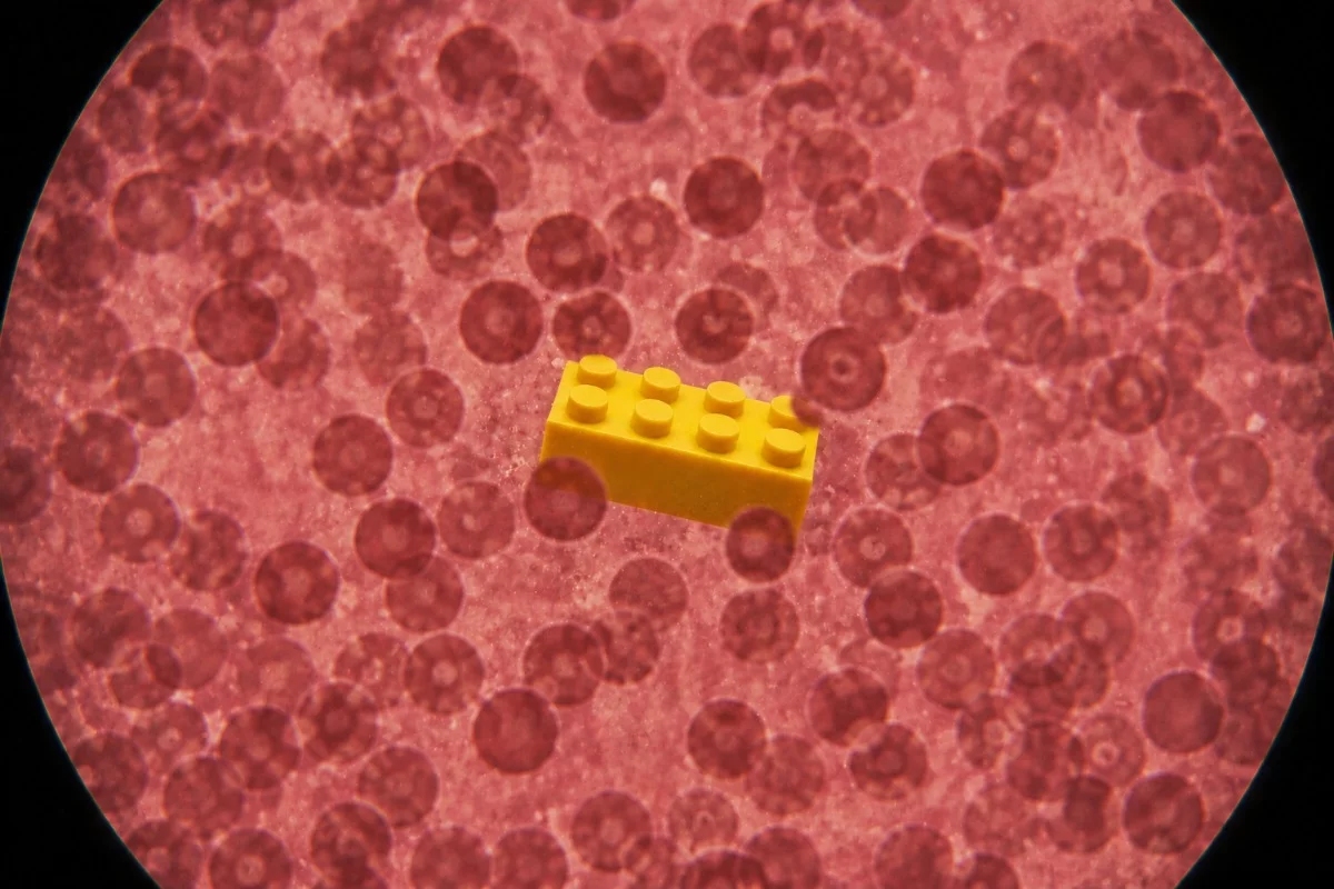 Microplásticos en el cuerpo: qué sabemos y qué sigue sin respuesta