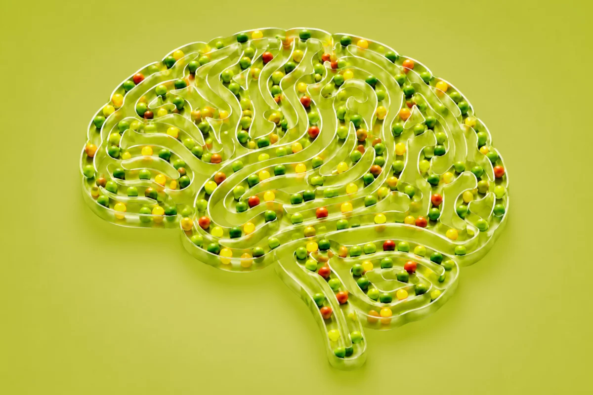Obesidad: señales grasas podrían acelerar la progresión del Alzheimer