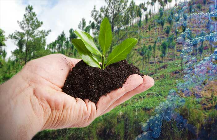 Comportamiento humano en beneficio del medio ambiente