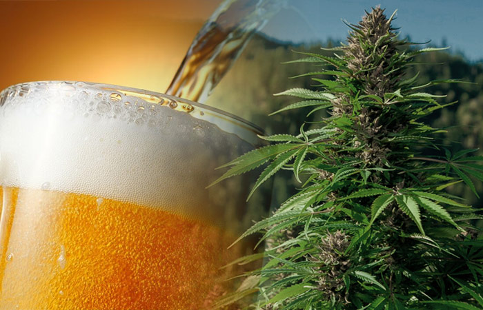 Cervezas con cannabis, la siguiente apuesta de la industria de bebidas