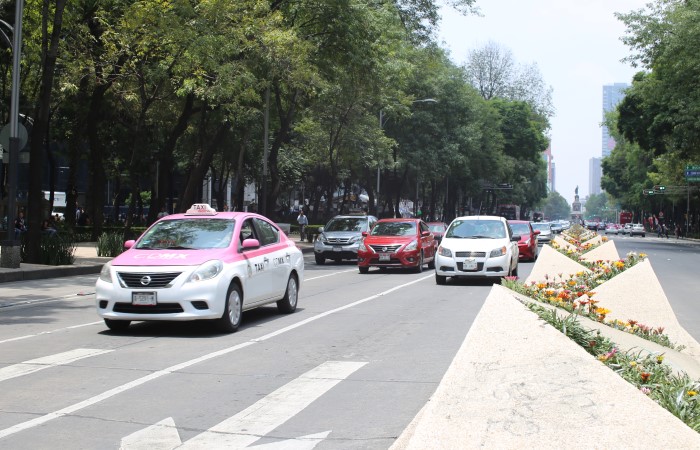 Pedro Basilio (NotiPress)