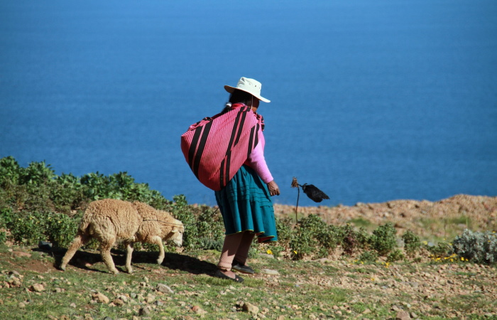 Monica Volpin en Pixabay