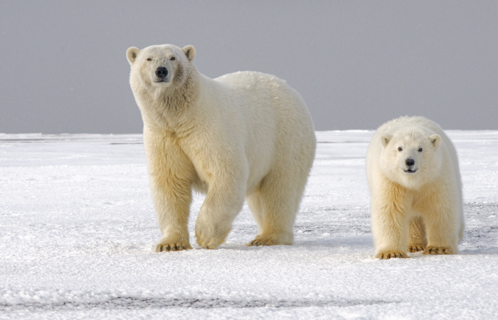 Hans-Jurgen Mager on Unsplash