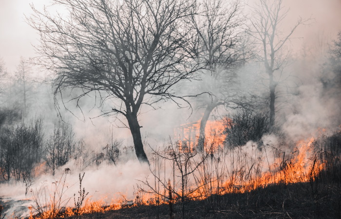 Foto de Vladyslav Dukhin en Pexels