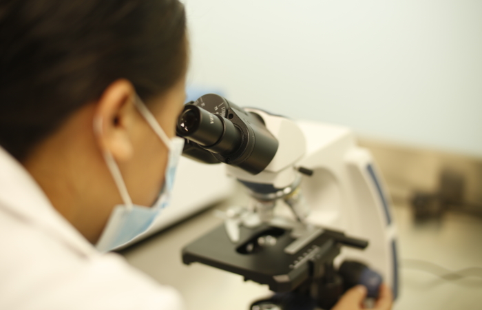 Investigación se convierte en un motor de impulso económico de las industrias