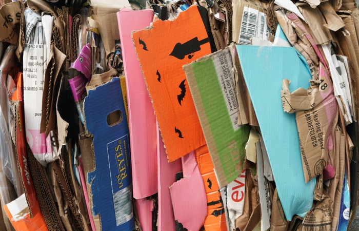 Michael Jin en Unsplash