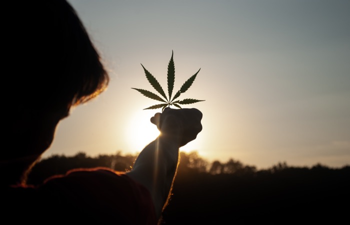 David Gabric en Unsplash 