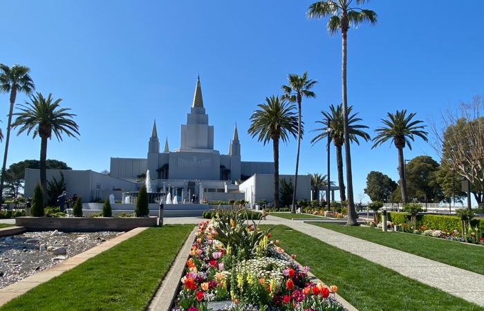 Parul Patel en Unsplash