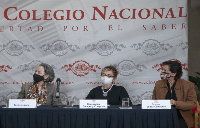 Colegio Nacional dialoga sobre el impacto de la pandemia en la cultura