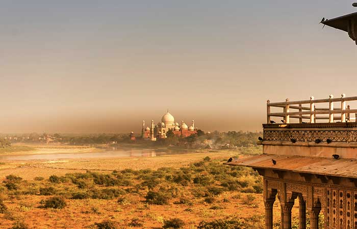 India y sus 50 millones de árboles